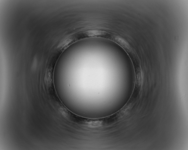 X0000085210426200703091143