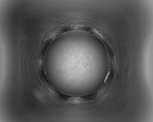 X0000085210427200703091143