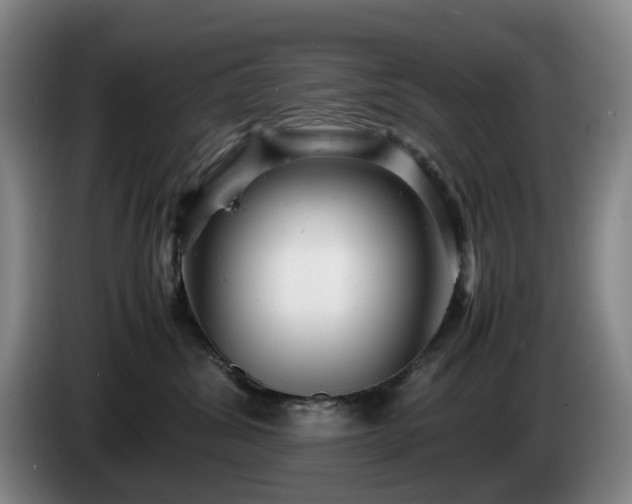 X0000085210428200703091143