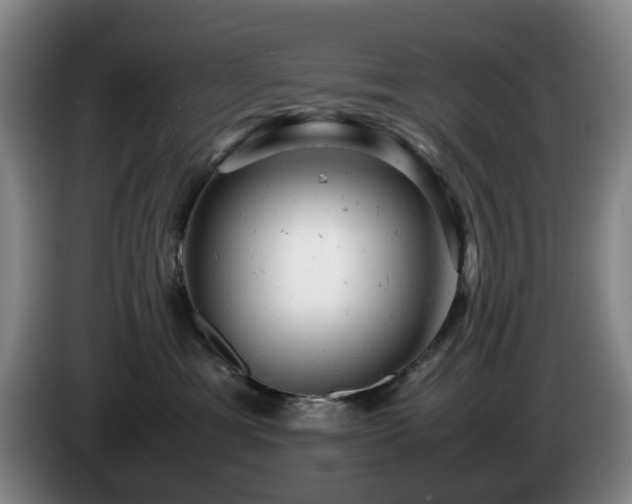 X0000085210429200703091143