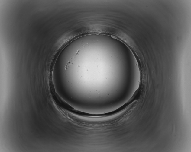 X0000085210434200703091142