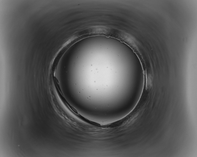 X0000085210435200703091142