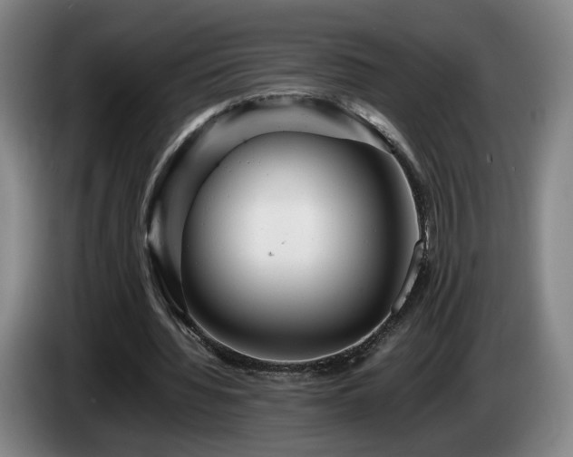 X0000085210436200703091142