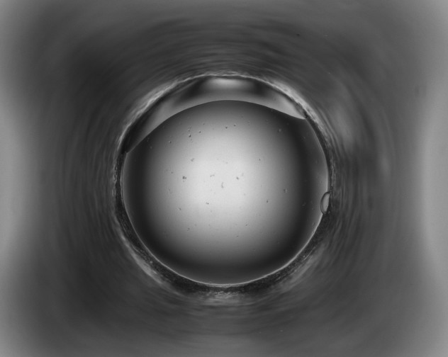X0000085210437200703091142