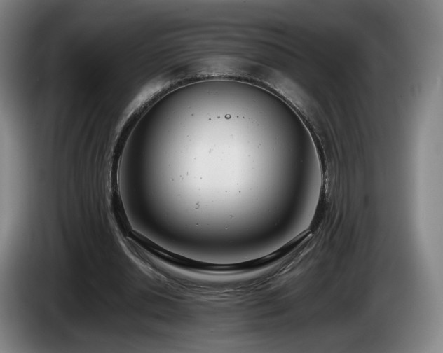 X0000085210438200703091142