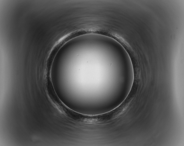 X0000085210440200703091142