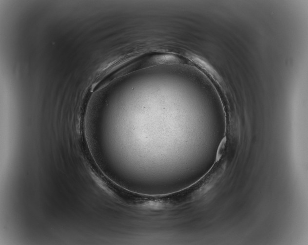 X0000085210441200703091142