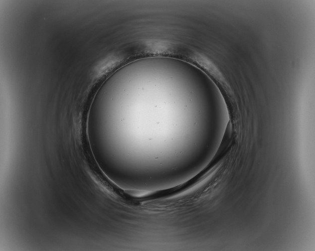 X0000085210442200703091142