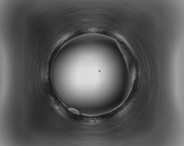 X0000085210443200703091142