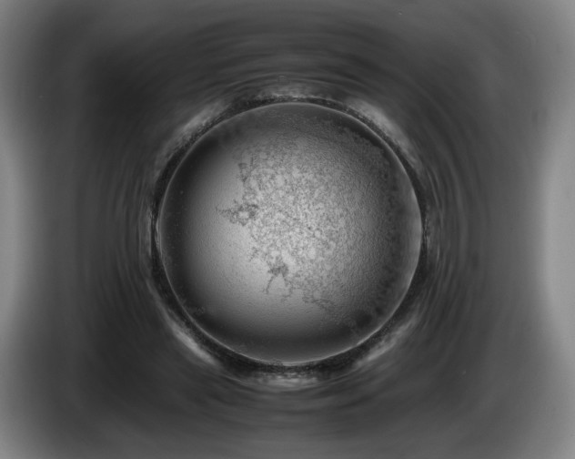 X0000085210445200703091142