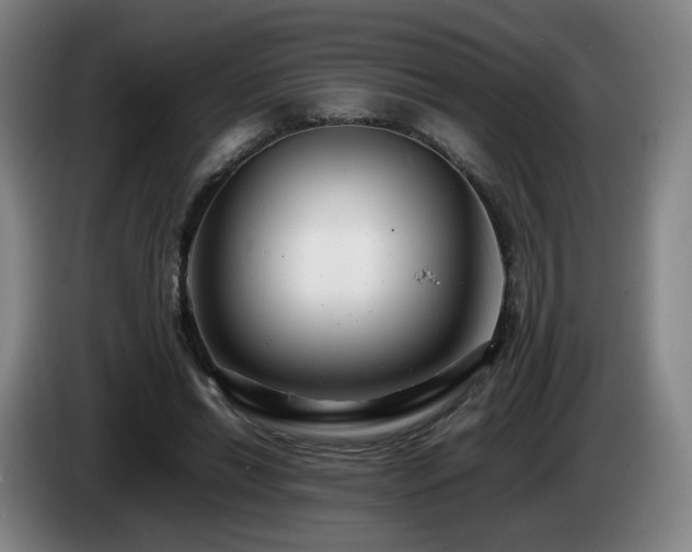 X0000085210446200703091142