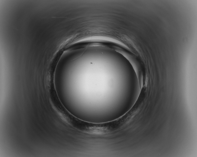 X0000085210448200703091142