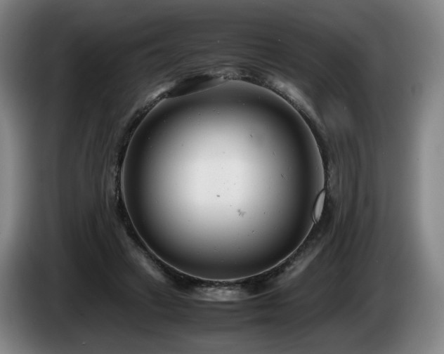 X0000085210449200703091142