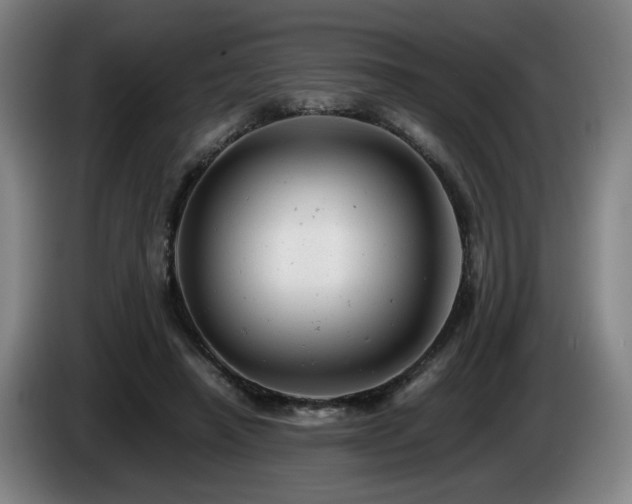 X0000085210450200703091142