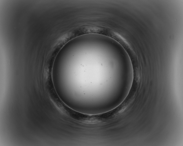 X0000085210451200703091142