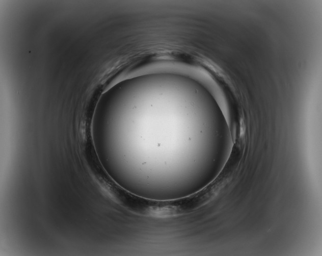 X0000085210452200703091142