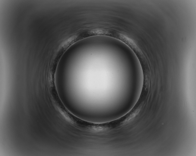 X0000085210453200703091142