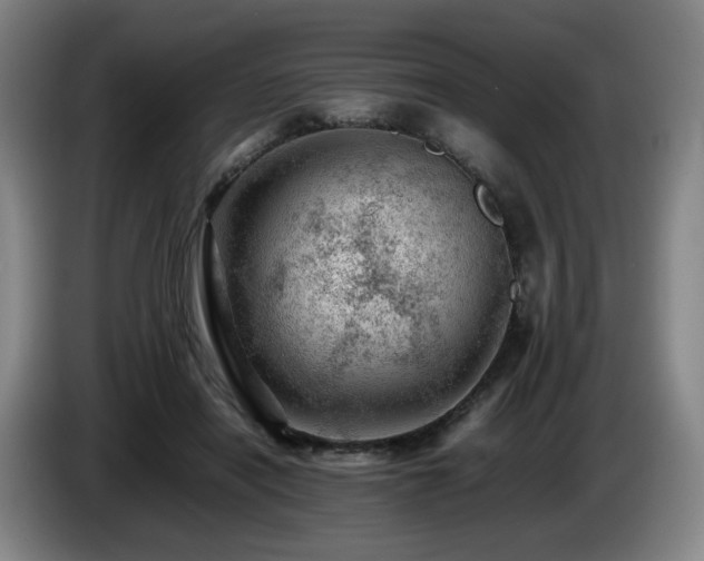 X0000085210454200703091142