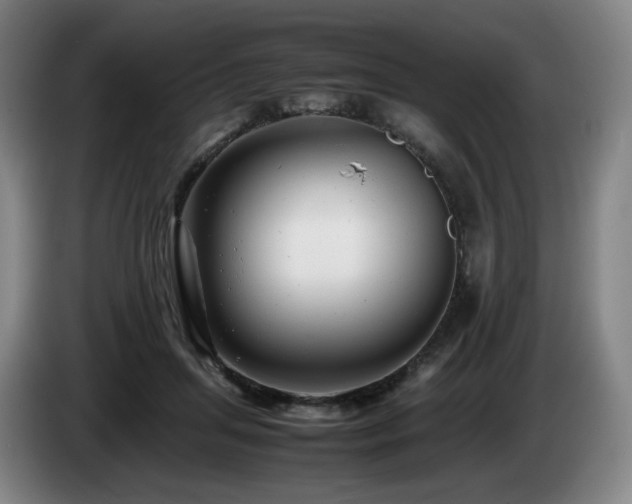 X0000085210455200703091142