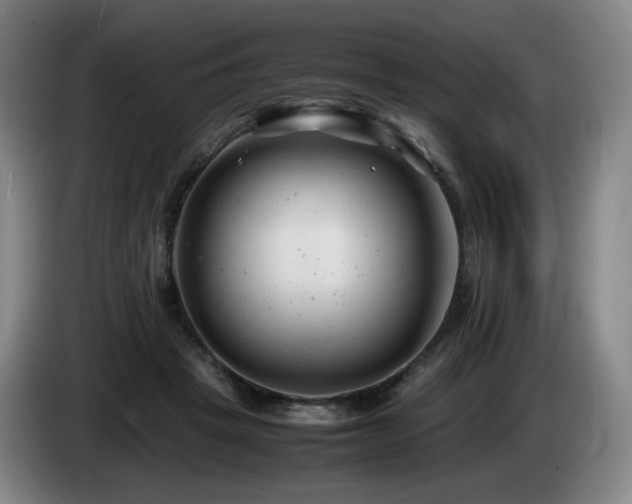 X0000085210457200703091142