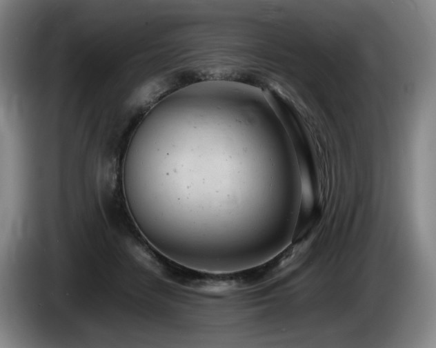 X0000085210458200703091142
