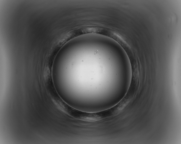 X0000085210459200703091142