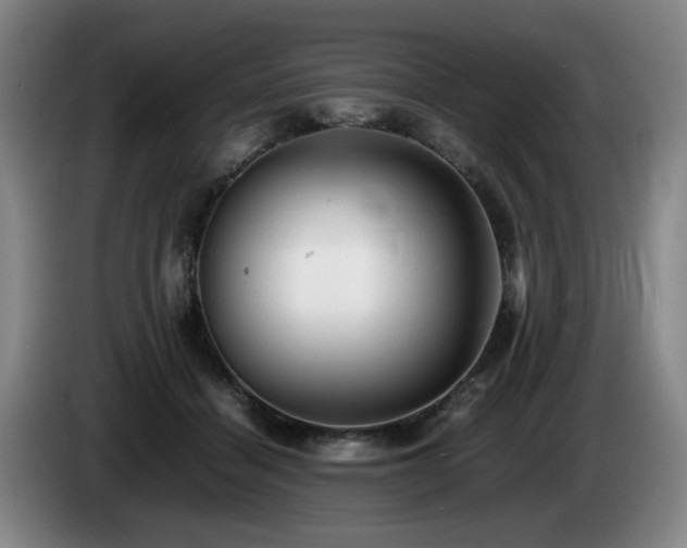 X0000085210460200703091142