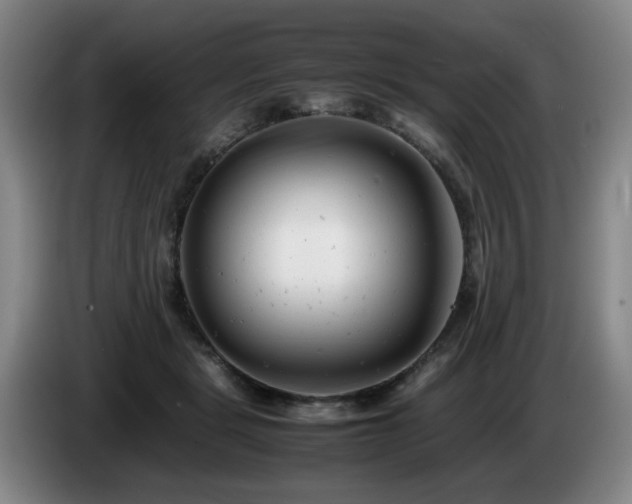 X0000085210461200703091142