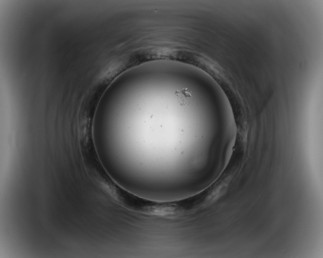 X0000085210462200703091142
