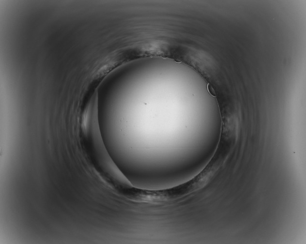 X0000085210466200703091142