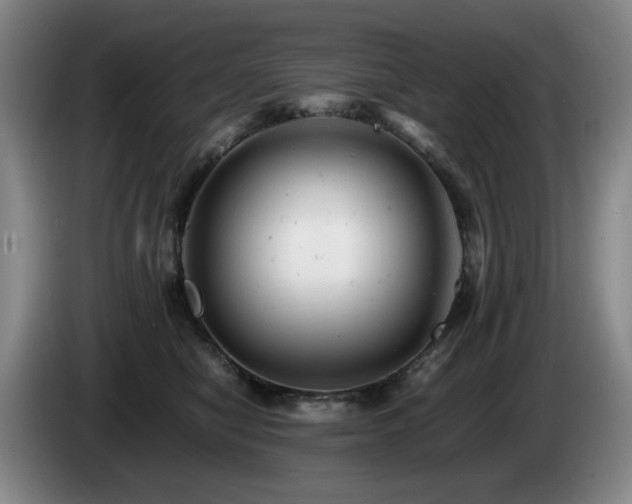 X0000085210470200703091142