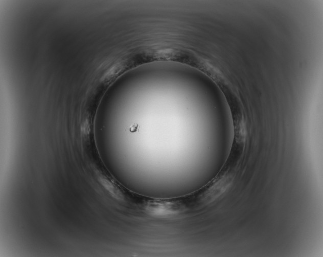 X0000085210472200703091142