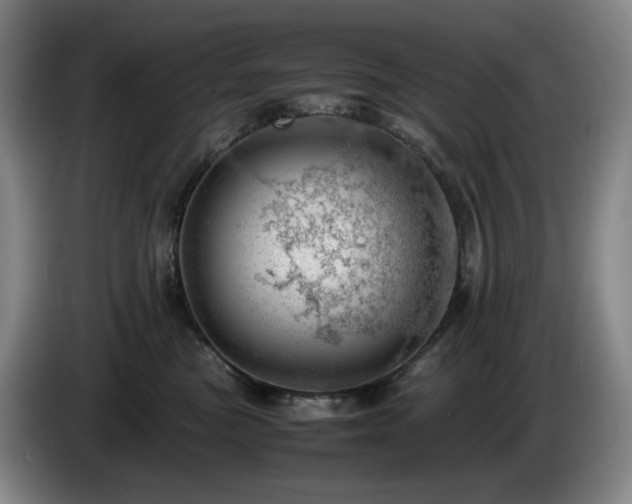 X0000085210473200703091142