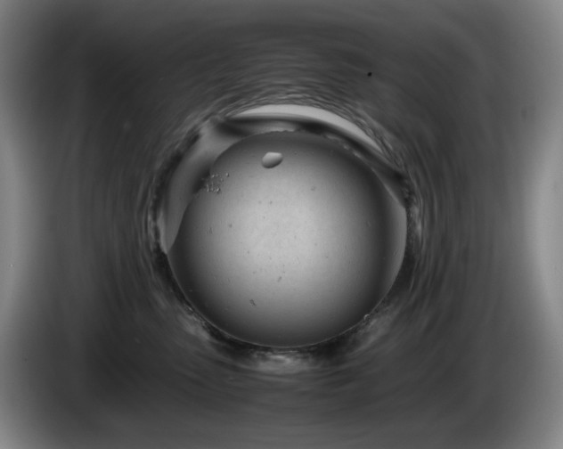 X0000085210475200703091142