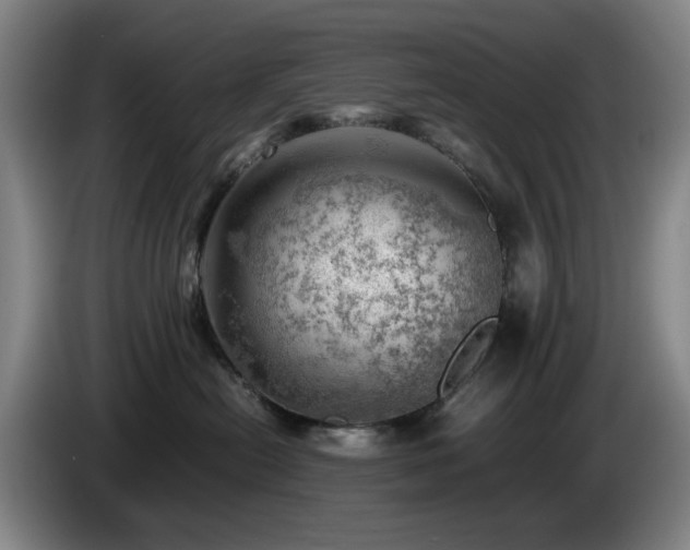 X0000085210478200703091143