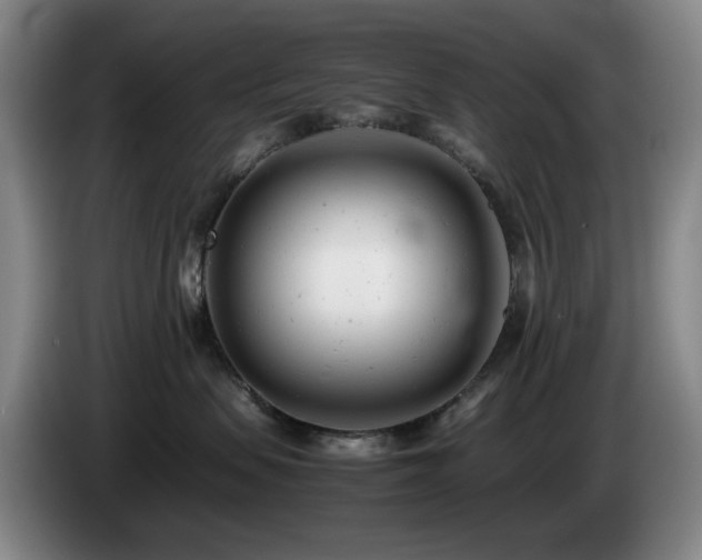 X0000085210479200703091143