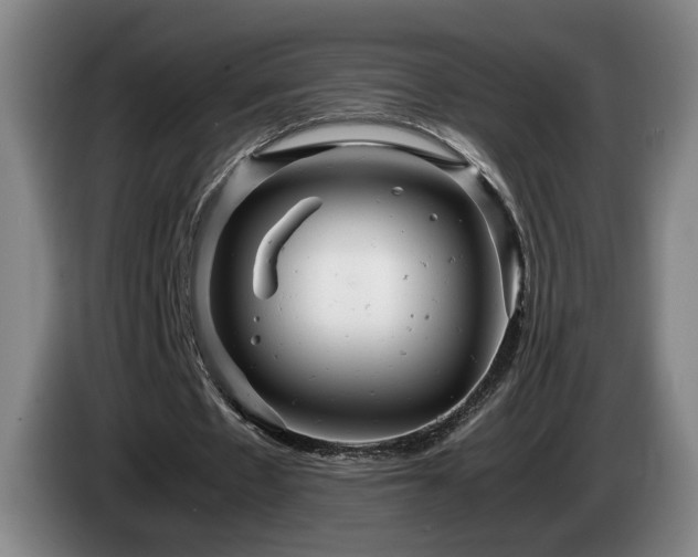 X0000085210481200703091142
