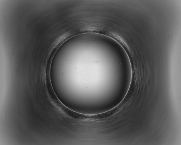 X0000085210482200703091142