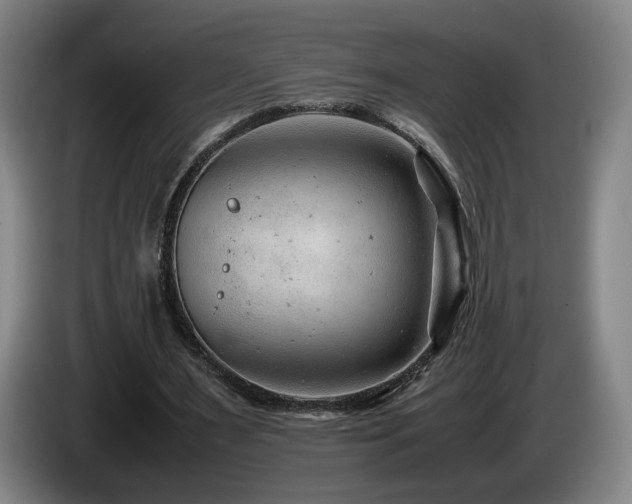 X0000085210483200703091142