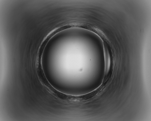 X0000085210484200703091142