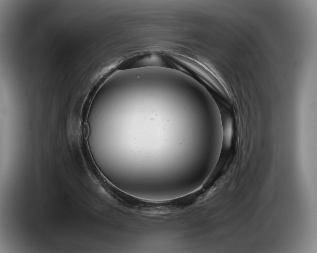 X0000085210485200703091142