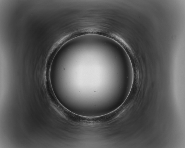X0000085210486200703091142