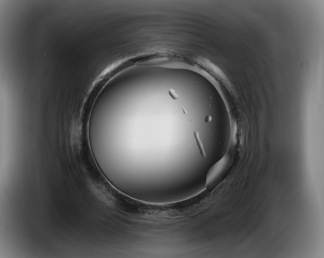 X0000085210488200703091142