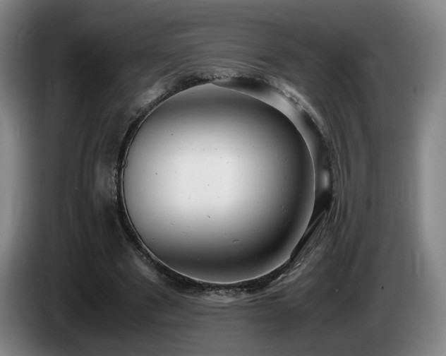 X0000085210489200703091142