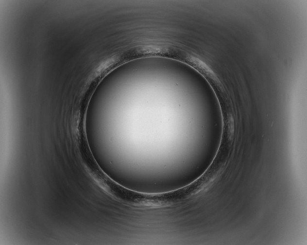 X0000085210490200703091142