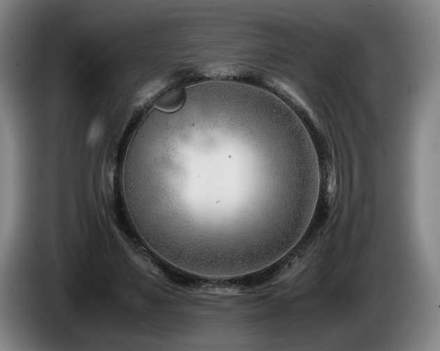X0000085210491200703091142