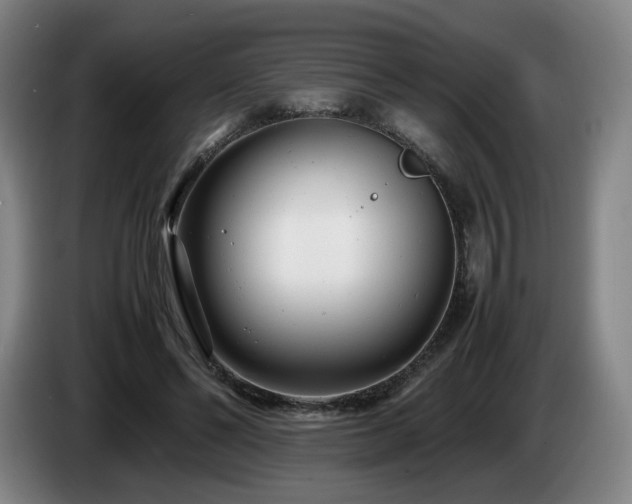 X0000085210494200703091142