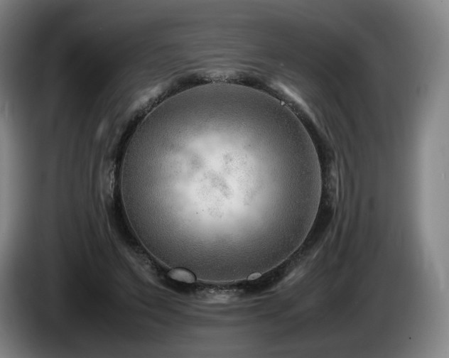 X0000085210495200703091142