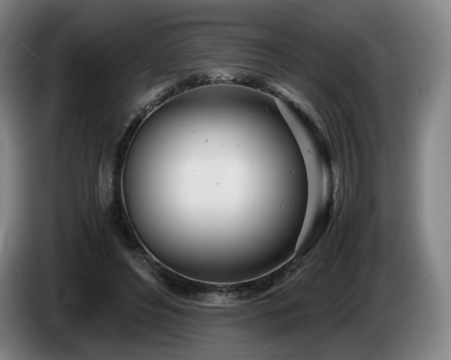 X0000085210496200703091142