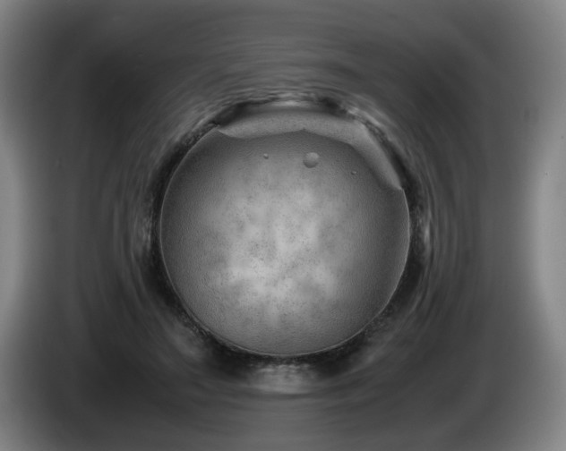 X0000085210499200703091142